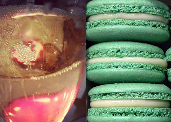 macaron champagne bubbles and macarons